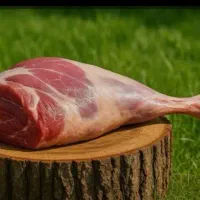 فروش   لاشه گوسفندی