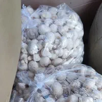 قارچ (از تولید به مصرف)|عمدهفروشی|فردیس, منظریه|دیوار