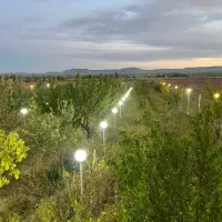 خونه باغ اجاره ای در زنجان