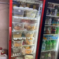 یخچال و لوازم کامل پروتوینی