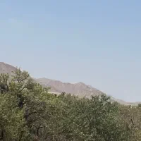فروش آب قنات،باغ ، باغچه ، زمین کشاورزی با آب قنات|فروش دفتر صنعتی، کشاورزی، تجاری|آباده, |دیوار