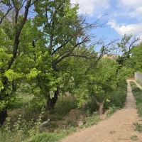 باغ نیستان آستانه