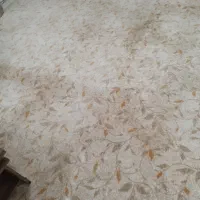 ۳۳ متر پالاز موکت در حد نو پشت سایپا