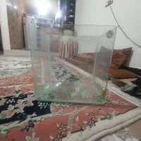 آکواریوم  شیشه خم