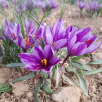 مدارکم گم شده