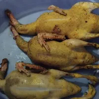 فروش اردک محلی براشب یلدا