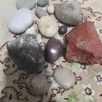 گوهرزیبا