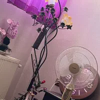 اباژور قهوه ای رنگ با بدنه سالم فقط یا لاله شکسته