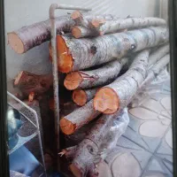 چوب خراطی