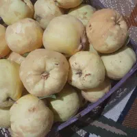 فروش میوه به