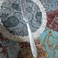 کاردمیوه خوری استیل