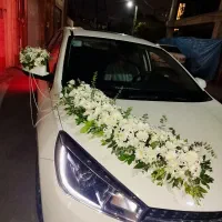 گلکده لنالند|گل و گیاه طبیعی|قائمشهر, |دیوار