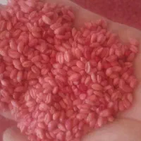 فروش بذر گندم اصلاح شده و کود سفید ریز|خدمات باغبانی و درختکاری|جوین, |دیوار