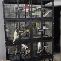 ساخت انواع قفس پرندگان طوطی سانان و سگ و گربه