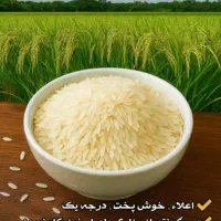 برنج کامفیروزی چمپه. اصل به شرط|خوردنی و آشامیدنی|صدرا-فارس, فاز ۱|دیوار