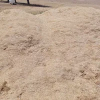 فروش کاه سفید