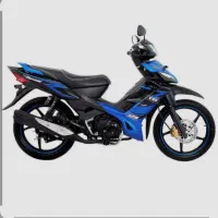 تی وی اس راگز