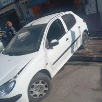 نقاش حرفه ای