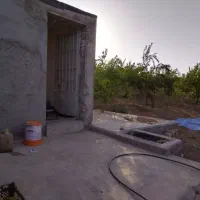 فروش باغ بادام ۲۰۰۰۰متری|فروش زمین و ملک کلنگی|بن, |دیوار