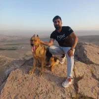 سگ ژرمن حرف گوش کن