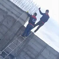 حفاظ روی دیوار شاخگوزنی.بوته خاری نرده پنجره در|خدمات پیشه و مهارت|مشهد, امیریه|دیوار