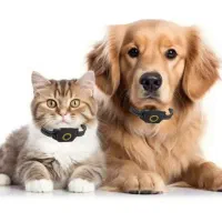 جی پی اس رایان GPS ردیاب آهنربایی کودک حیوانات H1|کوهنوردی و کمپینگ|تهران, صادقیه|دیوار