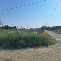 ۵۰۰مترزمین دونبش نظام آباد برجاده اصلی|فروش زمین و ملک کلنگی|اسلام‌شهر, شاطره|دیوار
