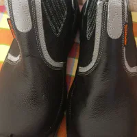 کفش کار نو