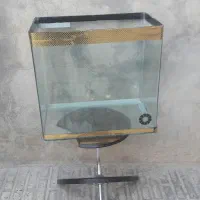 آکواریوم شیشه خم
