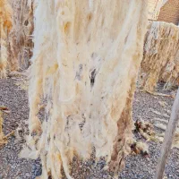 پشم فروشی|رختخواب، بالش، پتو|تبریز, |دیوار