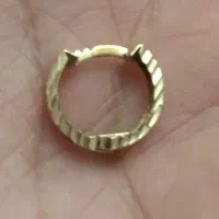 گوشواره طلا گمشده