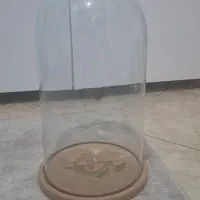 تراریوم