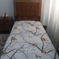 تخت خواب یک نفره همراه تشک و پاتختی|تخت و سرویس خواب|قزوین, |دیوار