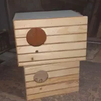 لانه عروس