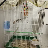 سه عدد عروس هلندی سالم و دستی و زیبا