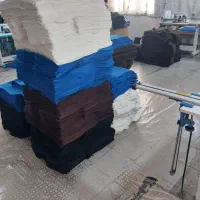 تعدادی وسط کار خانم