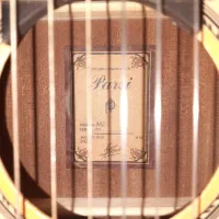 گیتار پارسی(Parsi) مدل M2 همراه با کاور|گیتار، بیس، امپلیفایر|رباط‌کریم, رباط‌کریم|دیوار