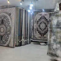 تالار فرش برازجان قسطی بدون سوده|فرش|بوشهر, |دیوار