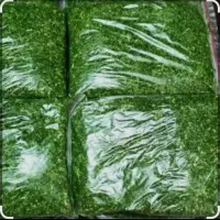 سبزی تره (عمده)
