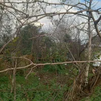 زمین سنددار رضوانشهر