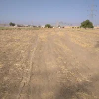 زمین کشاورزی حاصلخیز بهترین خاک