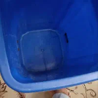 سطل زباله|لوازم نظافت|شیراز, میرزاکوچک خان|دیوار