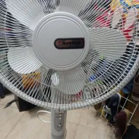 پنکه ایستاده مارک ارشیا واقعا درحد نو|پنکه و تصفیه‌کنندهٔ هوا|اسلام‌شهر, شهرک انبیا|دیوار