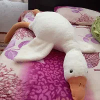 فقط ۲۰۰ سایز خیلی بزرگ|اسباببازی|اردبیل, |دیوار