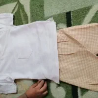 بلوز شورت