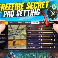 سنس هدشات چیتری برزیلی