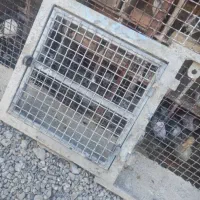 در آغول|لوازم جانبی حیوانات|ایرانشهر, |دیوار