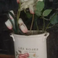 تعدادی گل