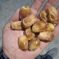 خرمای زاهدی درجه ۱
