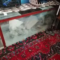 آکواریوم دومتری